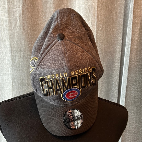 Other - Cubs World Series Champions Gray Cap